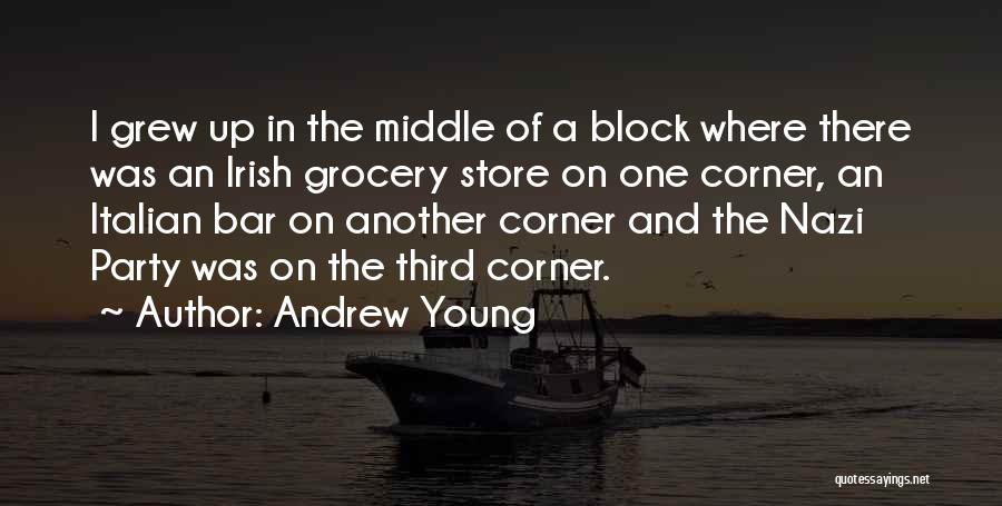 The Grocery Store Quotes By Andrew Young