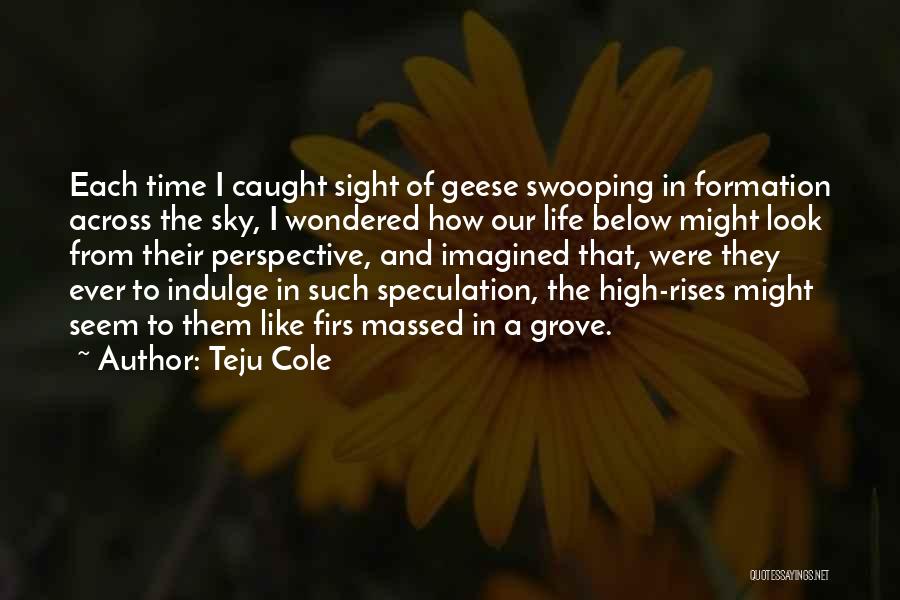 The Grove Quotes By Teju Cole