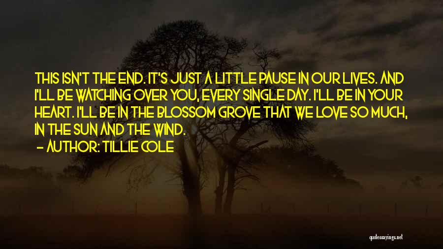 The Grove Quotes By Tillie Cole