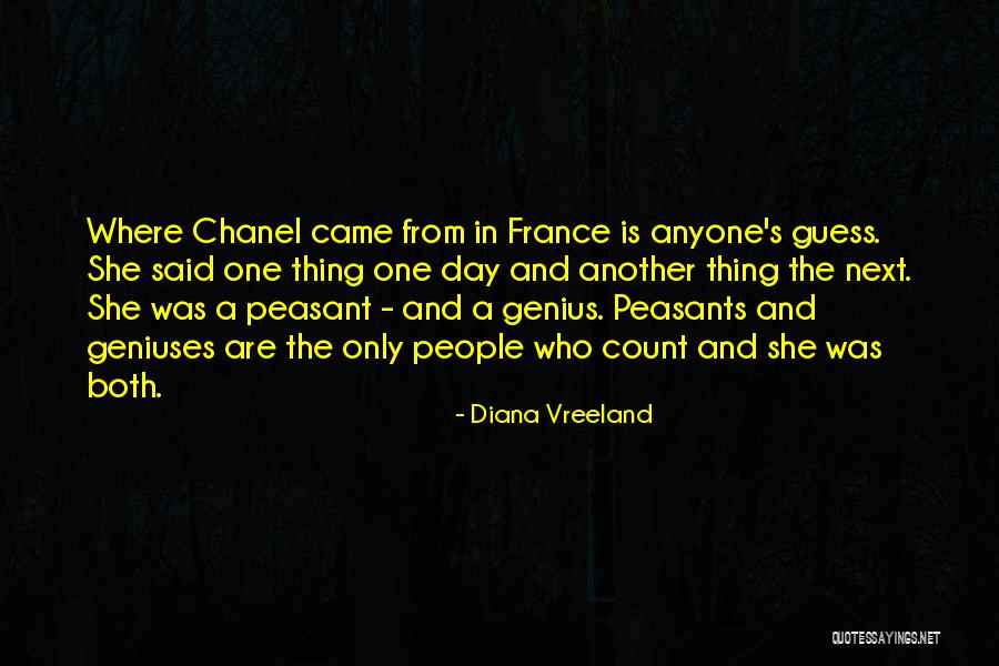 The Guess Who Quotes By Diana Vreeland