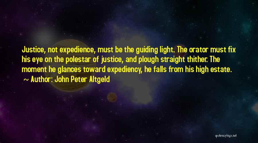 The Guiding Light Quotes By John Peter Altgeld