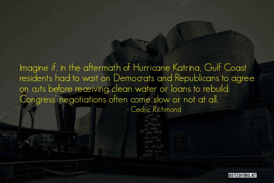 The Gulf Coast Quotes By Cedric Richmond