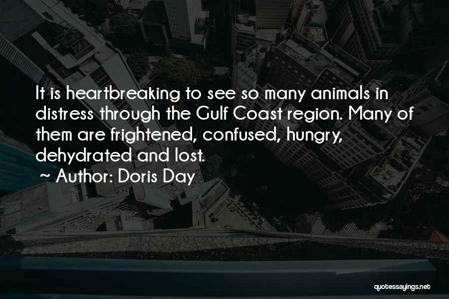 The Gulf Coast Quotes By Doris Day
