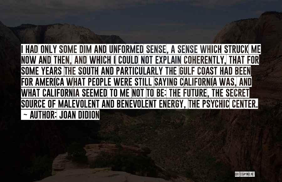 The Gulf Coast Quotes By Joan Didion