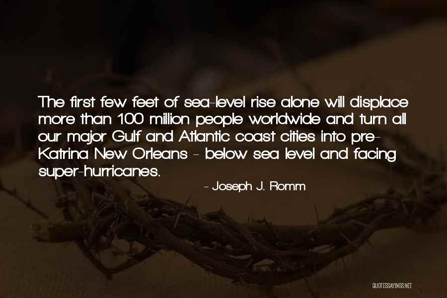 The Gulf Coast Quotes By Joseph J. Romm