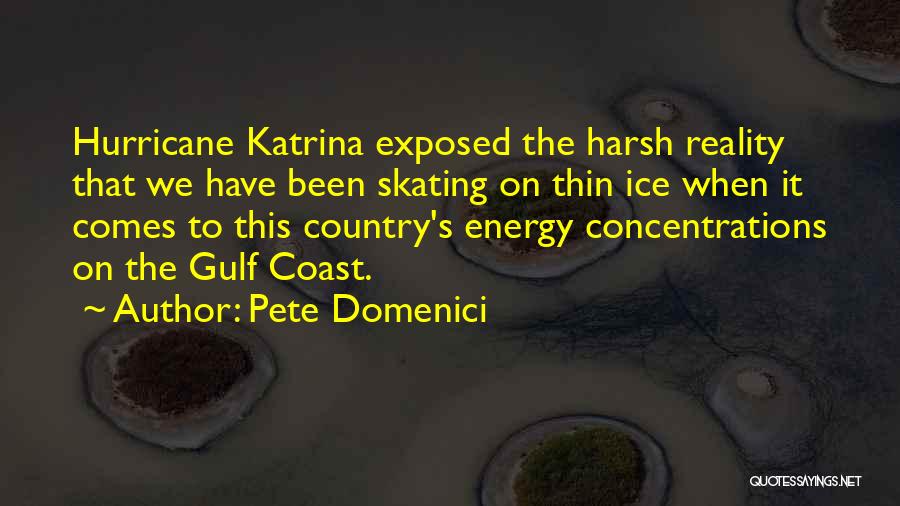 The Gulf Coast Quotes By Pete Domenici