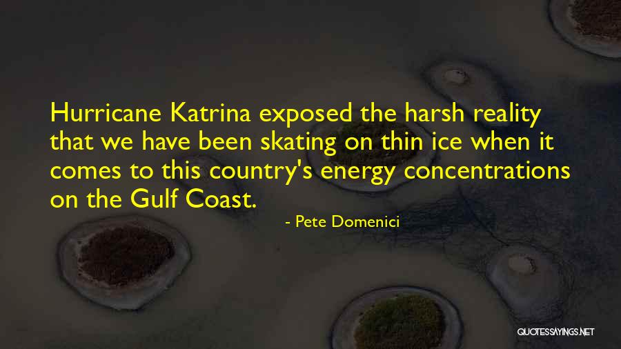 The Gulf Coast Quotes By Pete Domenici