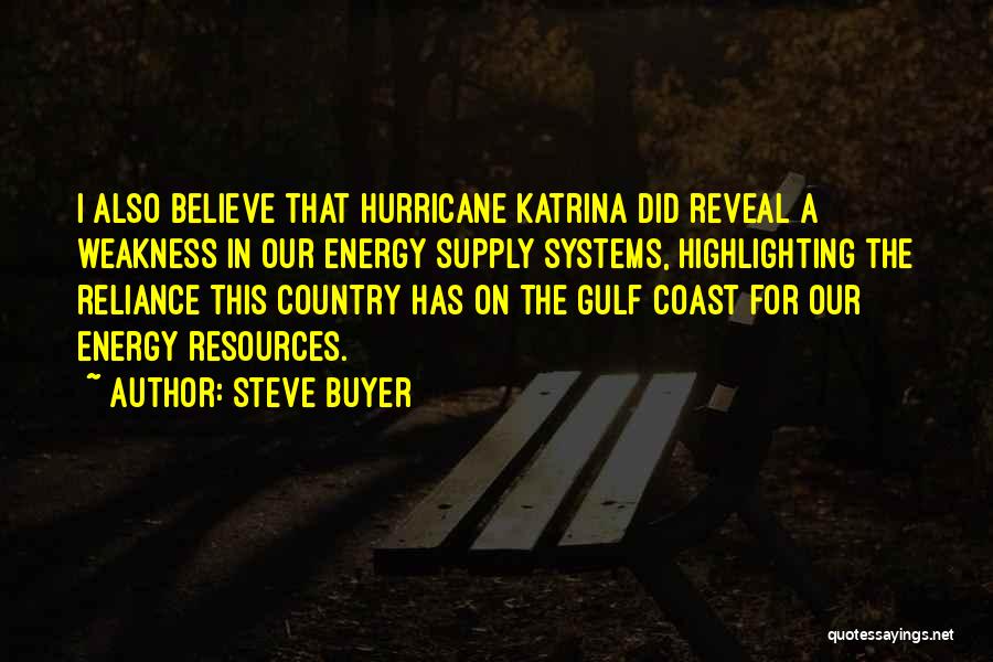 The Gulf Coast Quotes By Steve Buyer