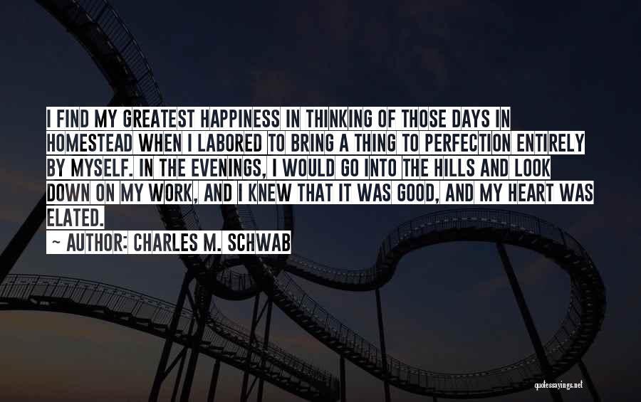 The Happiness You Bring Me Quotes By Charles M. Schwab