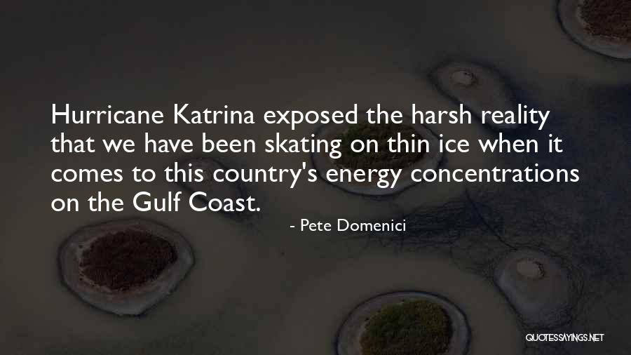 The Harsh Reality Quotes By Pete Domenici The Harsh Reality Quotes By Pete Domenici
