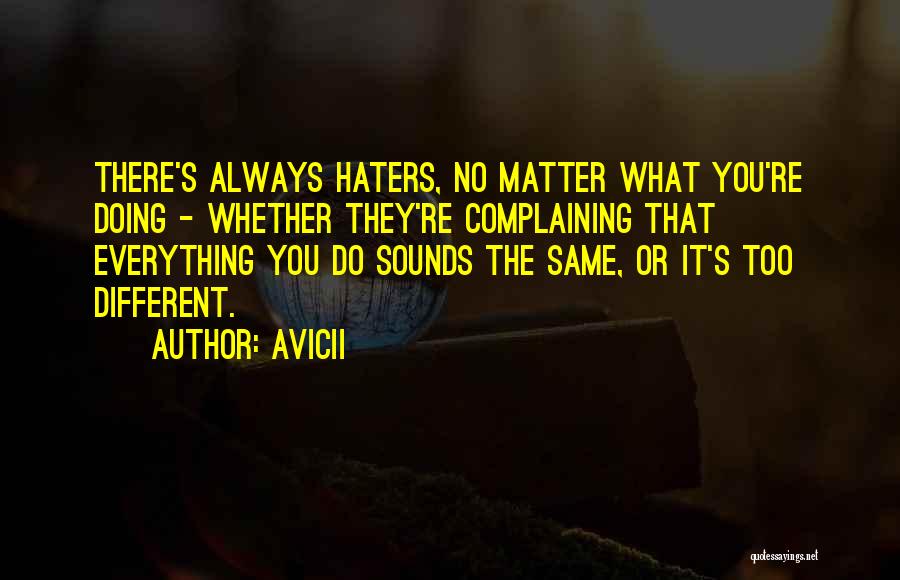 The Haters Quotes By Avicii