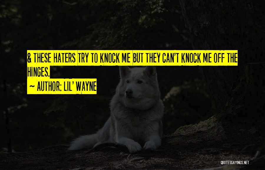 The Haters Quotes By Lil' Wayne