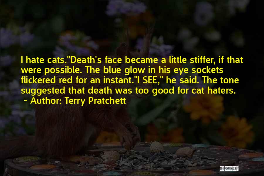 The Haters Quotes By Terry Pratchett