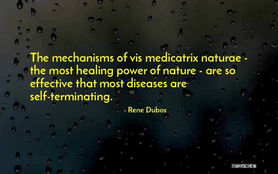 The Healing Power Of Nature Quotes By Rene Dubos