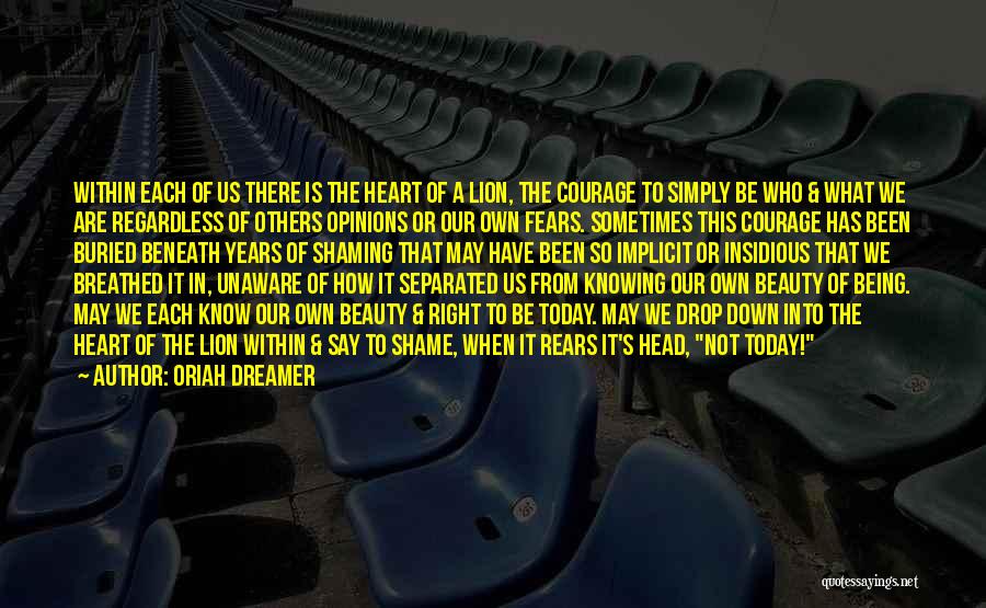 The Heart Of A Lion Quotes By Oriah Dreamer