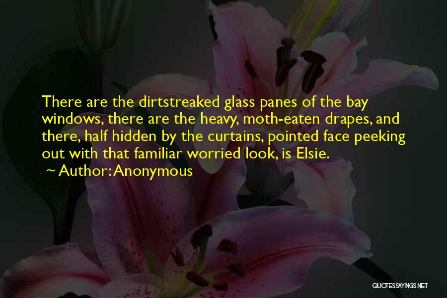 The Hidden Face Quotes By Anonymous