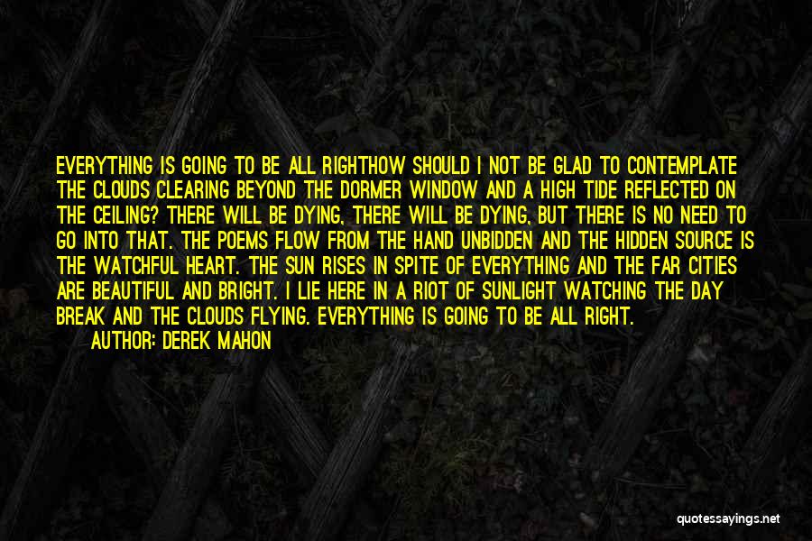 The Hidden Hand Quotes By Derek Mahon