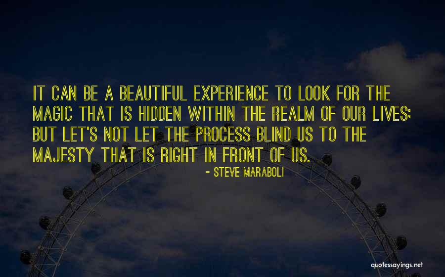The Hidden Life Quotes By Steve Maraboli The Hidden Life Quotes By Steve Maraboli