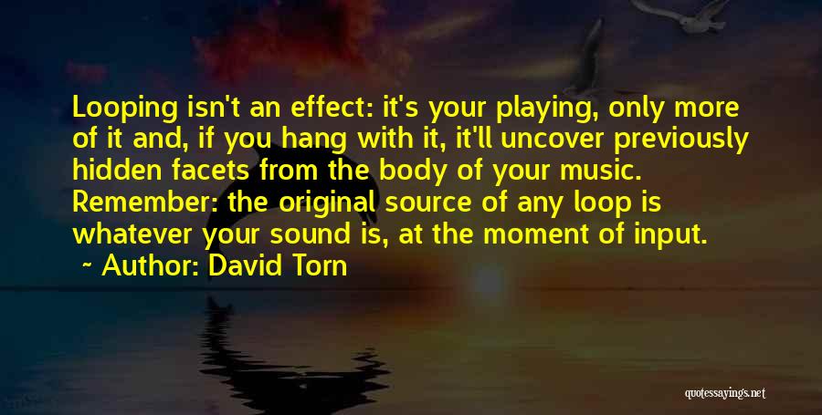 The Hidden Source Quotes By David Torn