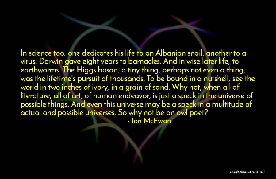 The Higgs Boson Quotes By Ian McEwan