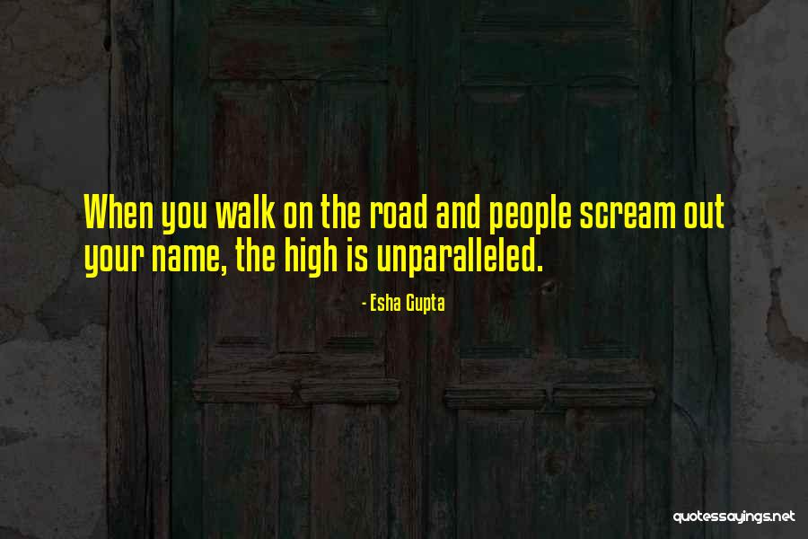 The High Road Quotes By Esha Gupta