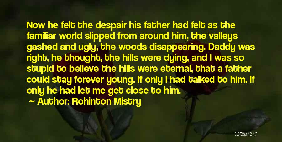 The Hills Quotes By Rohinton Mistry