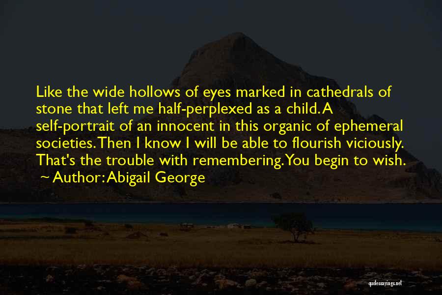The Hollows Quotes By Abigail George