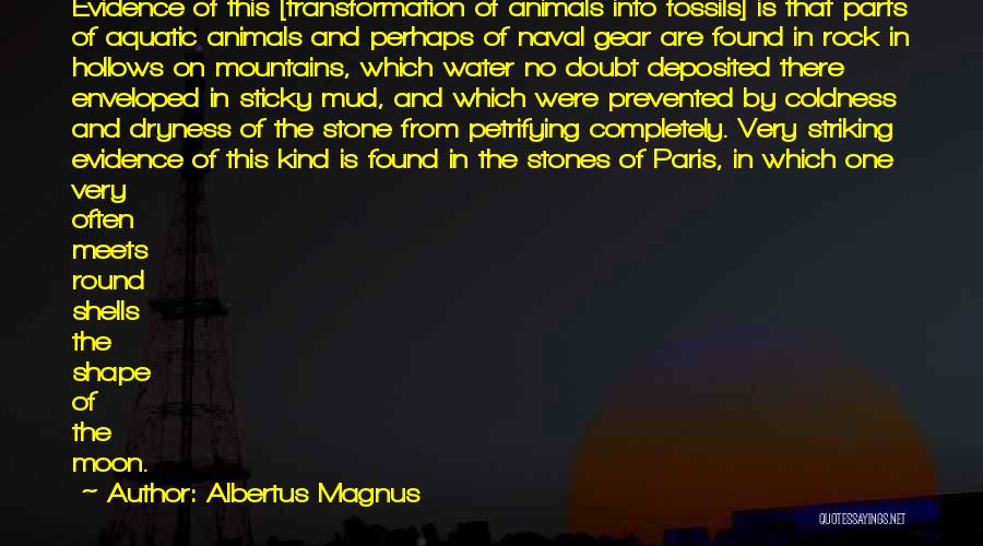 The Hollows Quotes By Albertus Magnus