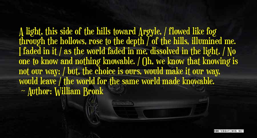 The Hollows Quotes By William Bronk