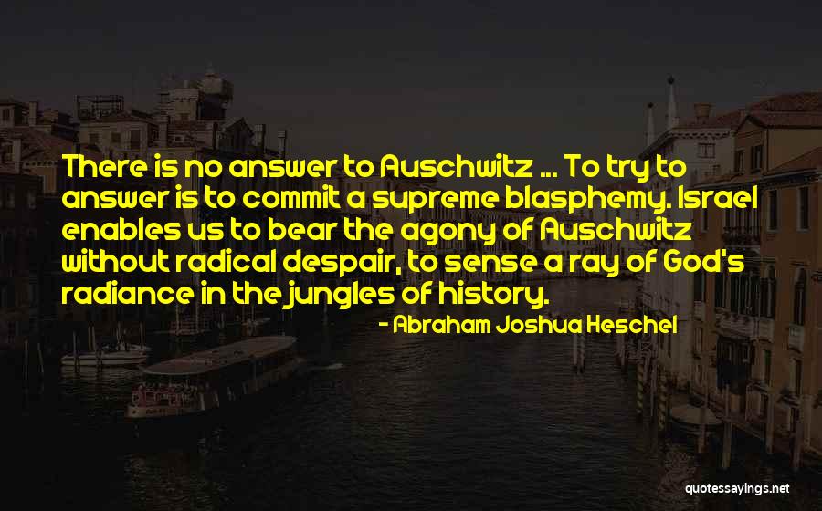 The Holocaust Auschwitz Quotes By Abraham Joshua Heschel