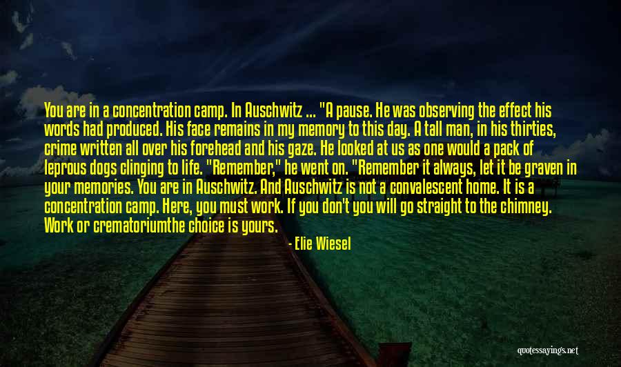 The Holocaust Auschwitz Quotes By Elie Wiesel