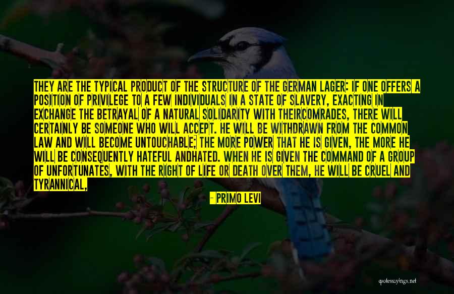 The Holocaust Auschwitz Quotes By Primo Levi The Holocaust Auschwitz Quotes By Primo Levi