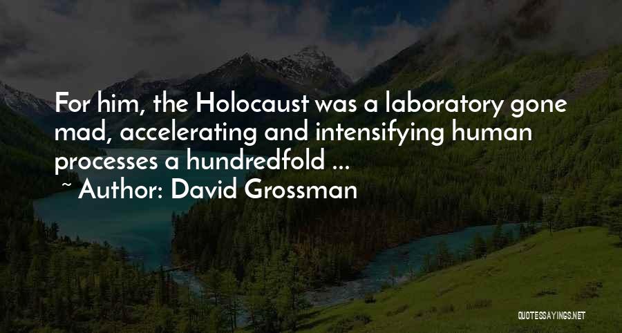 The Holocaust Quotes By David Grossman