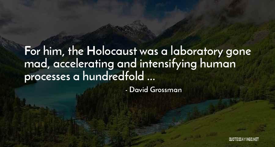 The Holocaust Quotes By David Grossman