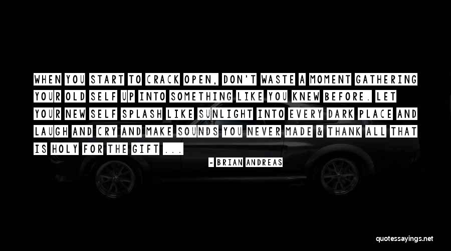 The Holy Dark Quotes By Brian Andreas The Holy Dark Quotes By Brian Andreas