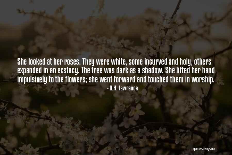The Holy Dark Quotes By D.H. Lawrence The Holy Dark Quotes By D.H. Lawrence