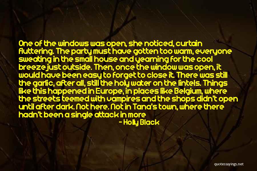 The Holy Dark Quotes By Holly Black The Holy Dark Quotes By Holly Black