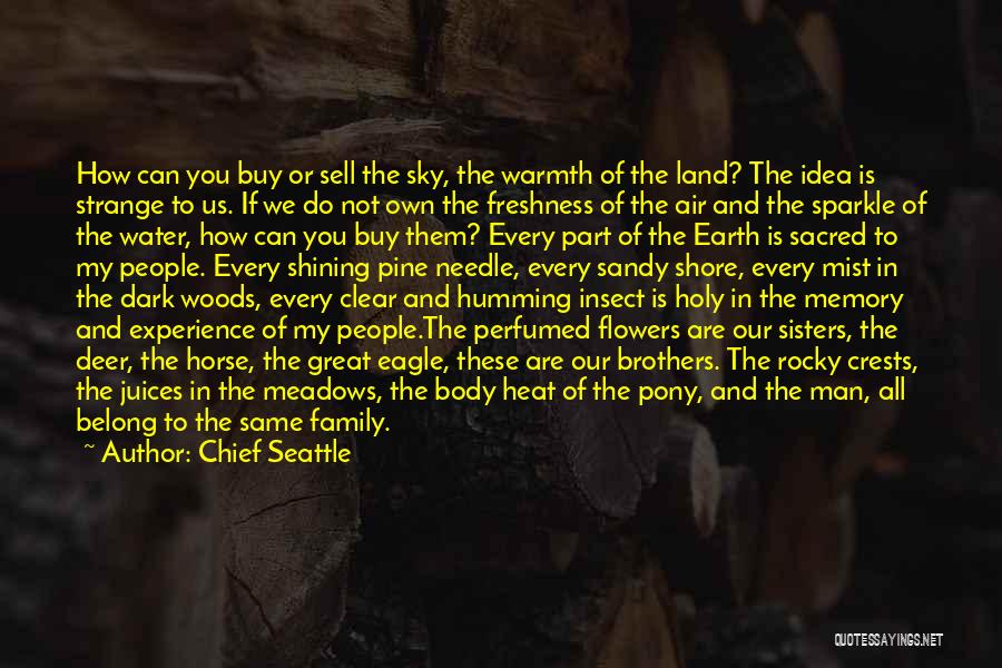 The Holy Family Quotes By Chief Seattle