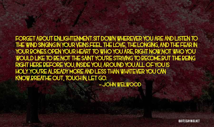 The Holy Longing Quotes By John Welwood