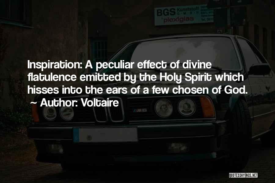 The Holy Spirit Of God Quotes By Voltaire