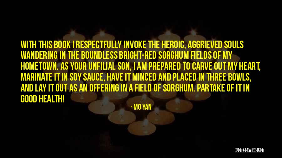 The Hometown Quotes By Mo Yan