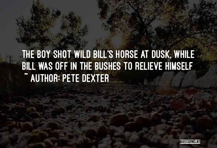 The Horse And His Boy Quotes By Pete Dexter