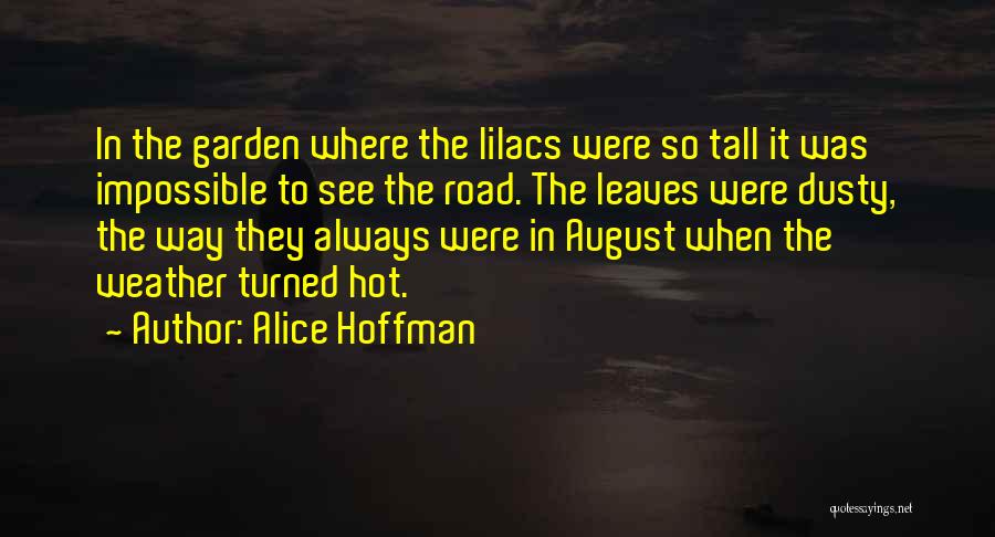 The Hot Weather Quotes By Alice Hoffman