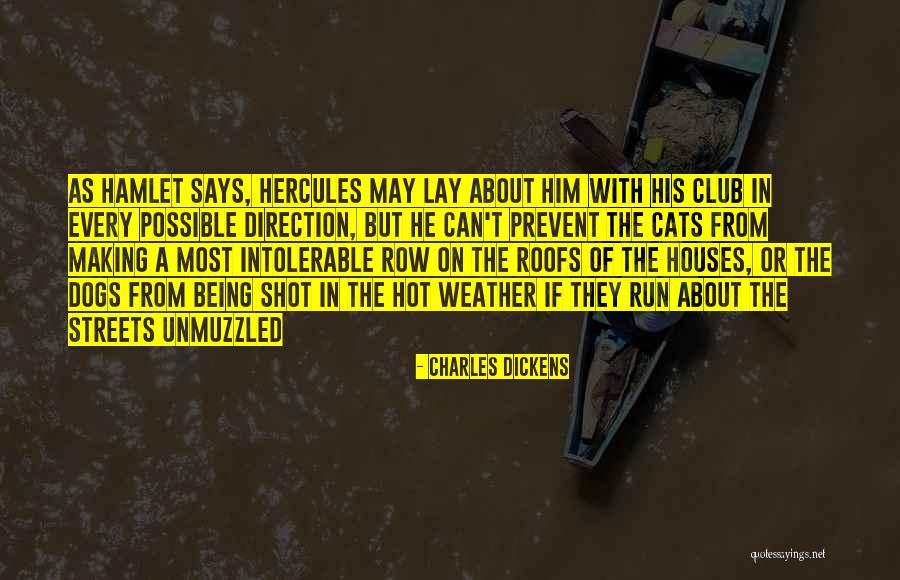 The Hot Weather Quotes By Charles Dickens