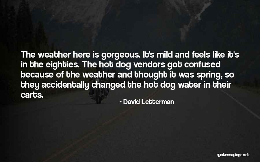 The Hot Weather Quotes By David Letterman