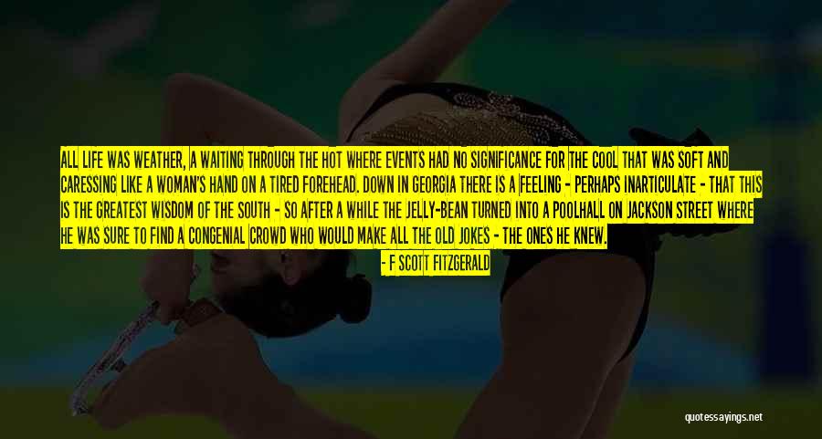 The Hot Weather Quotes By F Scott Fitzgerald