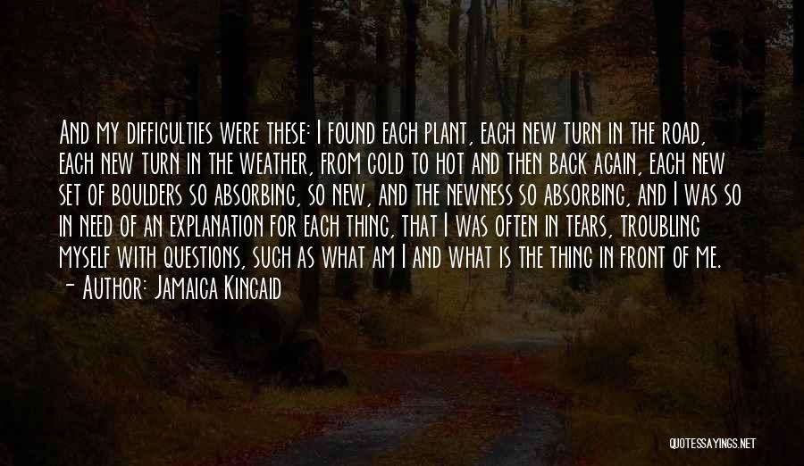 The Hot Weather Quotes By Jamaica Kincaid