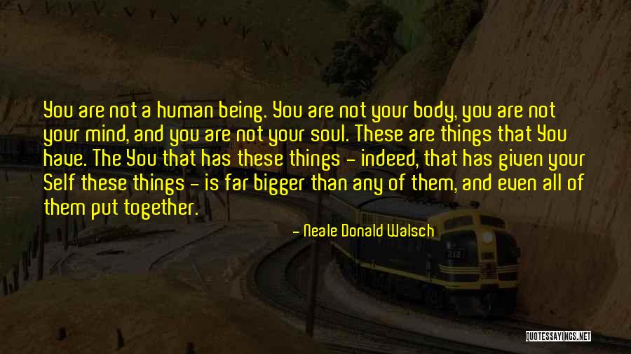 The Human Body And Mind Quotes By Neale Donald Walsch