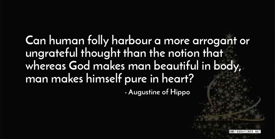 The Human Body Is Beautiful Quotes By Augustine Of Hippo