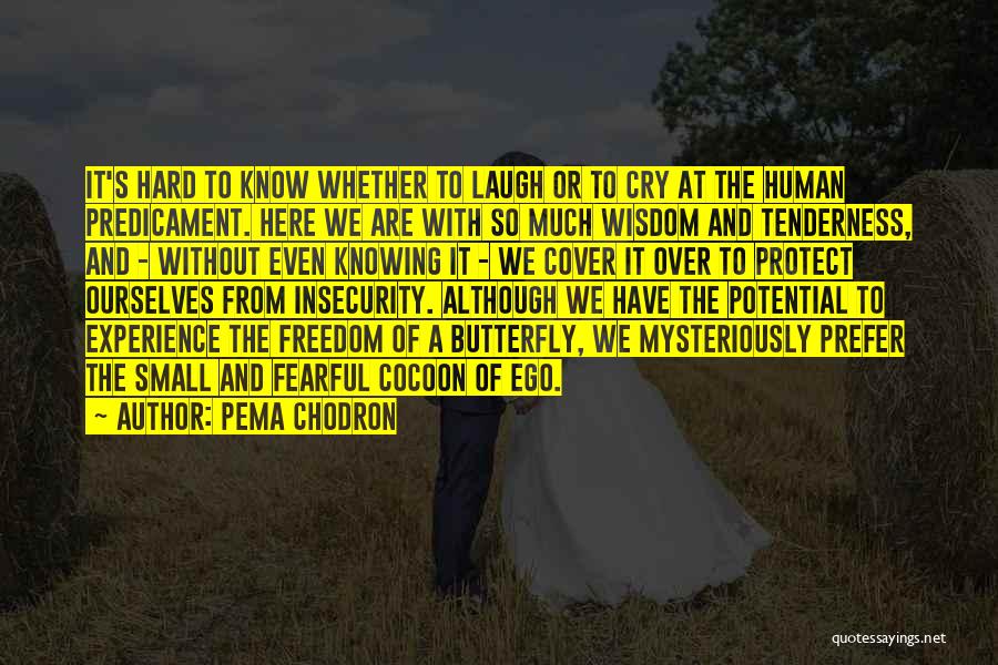 The Human Ego Quotes By Pema Chodron